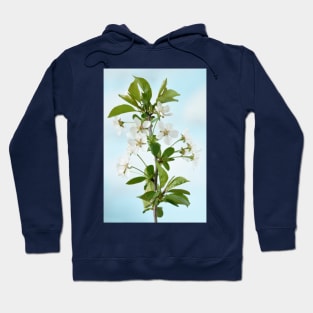 Cherry blossom Hoodie